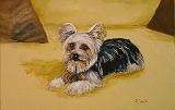 Baxter