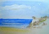 12Seabirds
